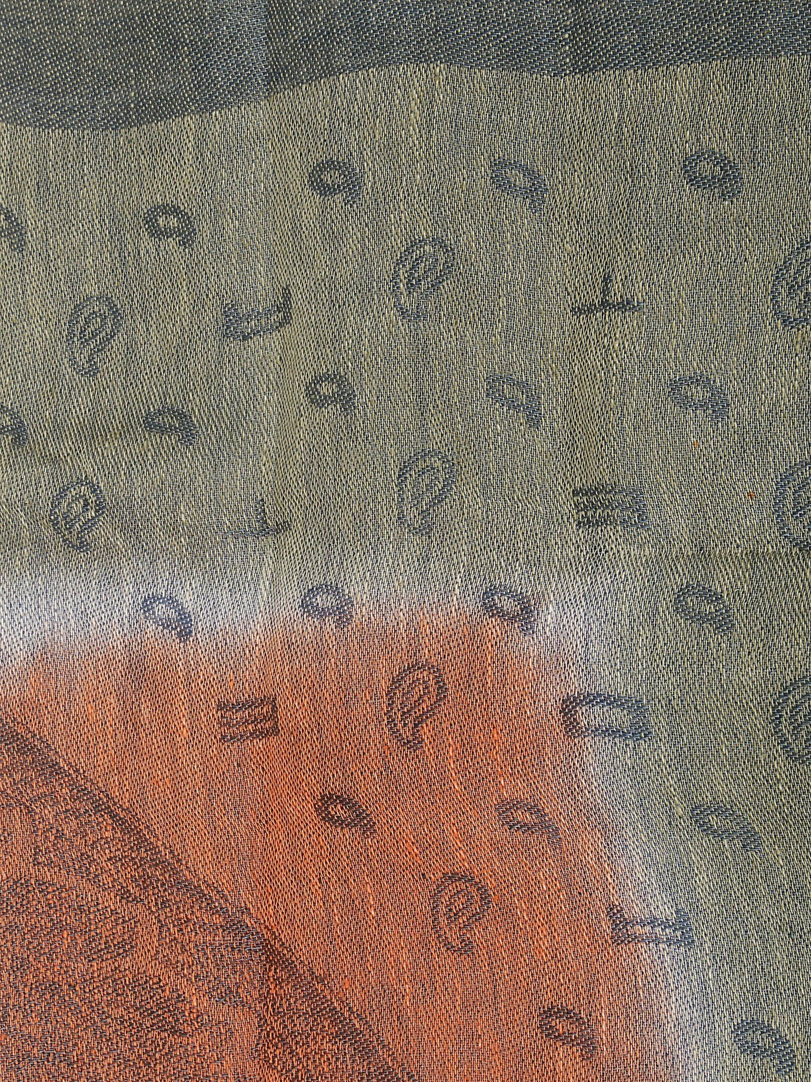 Etro Paisley Printed Fringed Edge Scarf